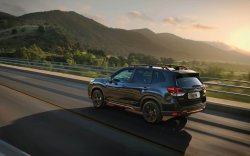 Subaru Forester (2021) - Creating patterns of car body and interior. Sale of templates in electronic form for cutting on paint protection film on a plotter